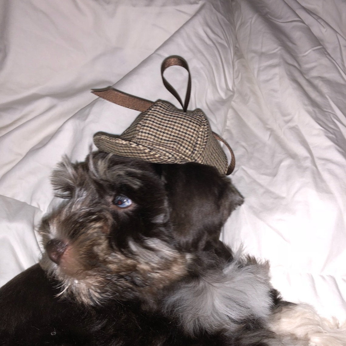 Customer photo of a pet with the Sherlock Holmes Deerstalker Houndstooth Hat for