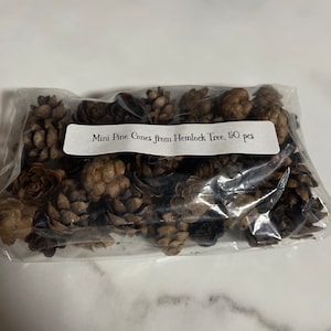 Kelly added a photo of their purchase