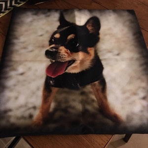 Buyer photo tproth83, who reviewed this item with the Etsy app for iPhone.
