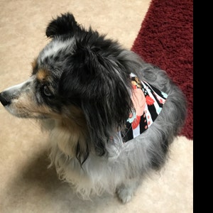 Callie added a photo of their purchase