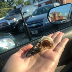 Hannah added a photo of their purchase