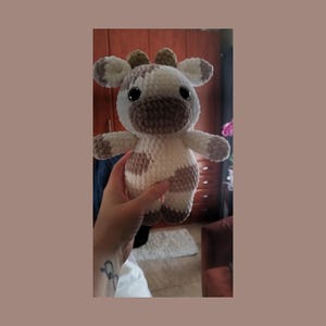 Angie added a photo of their purchase