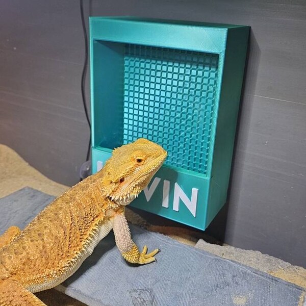 Reptile Insect Feeder Box (customizable) - Etsy