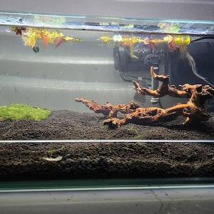 Kellyann added a photo of their purchase