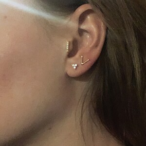 Paula added a photo of their purchase