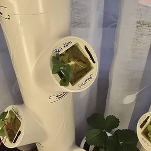 Iraz added a photo of their purchase