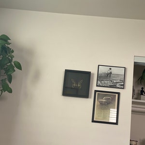Cann ha aggiunto una foto del proprio acquisto