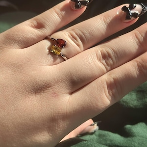 Anna added a photo of their purchase