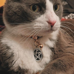Alphonse added a photo of their purchase