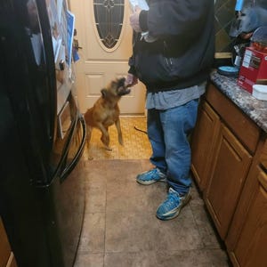 Lisa ha añadido una foto de su compra