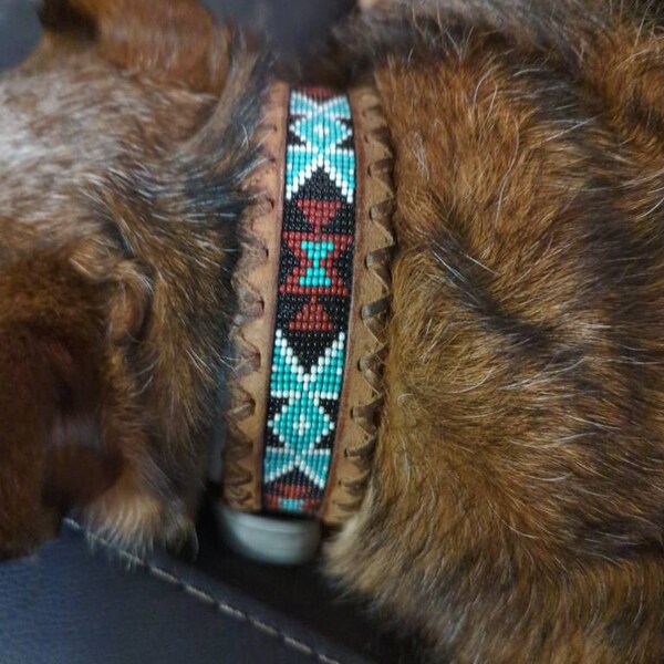 Western Leather Turquoise Black Beaded Bling Dog Collar main image 1