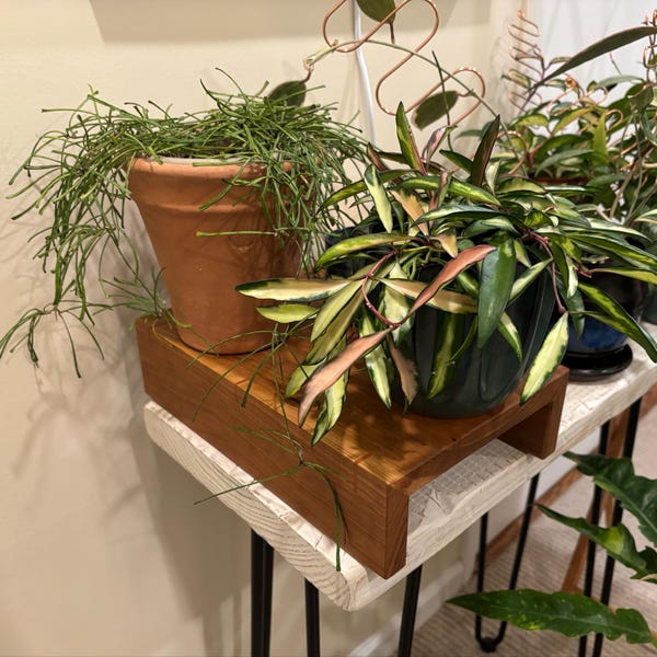 Handcrafted Wood Riser - Wood Plant Stand - MADE TO ORDER - Etsy