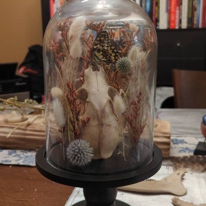 Stephanie added a photo of their purchase
