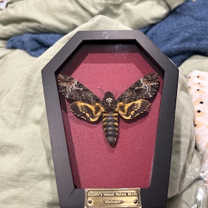 Kristina a ajouté une photo de son achat