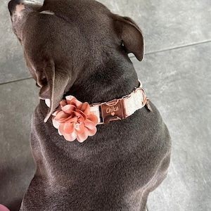Jana added a photo of their purchase
