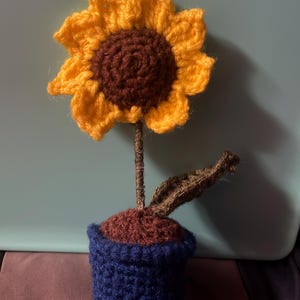 Patrice added a photo of their purchase