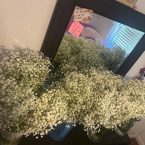 Alondra ha añadido una foto de su compra