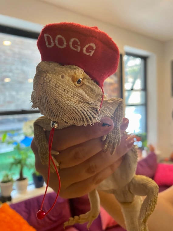 Customer photo of a pet with the Beret Personalized for small pet Raspberry