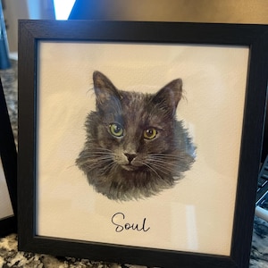 Lily added a photo of their purchase