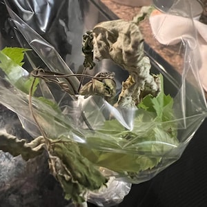 Julie added a photo of their purchase
