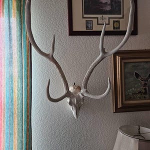 Carson added a photo of their purchase