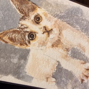 Marie hat ein Foto des gekauften Artikels hinzugefügt