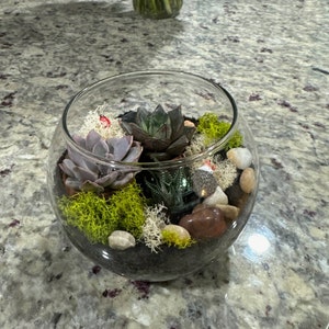 Robin added a photo of their purchase