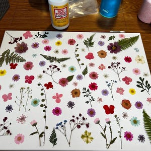 Madison added a photo of their purchase