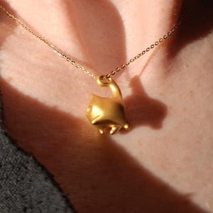 SilverKitty added a photo of their purchase
