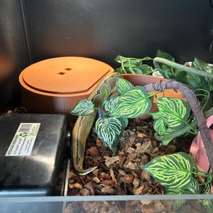 Noelle added a photo of their purchase