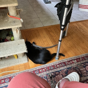 Etsy buyer added a photo of their purchase