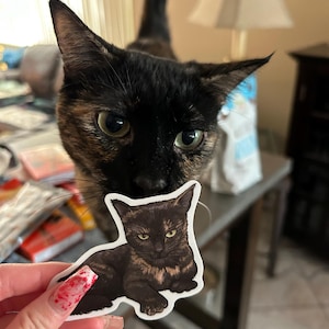 Ziky added a photo of their purchase