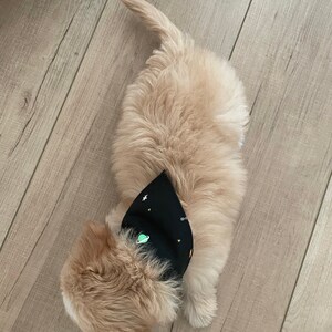 Comprador de Etsy ha añadido una foto de su compra