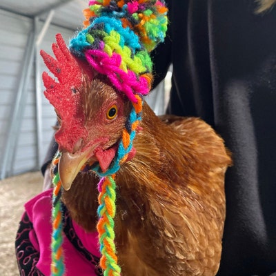 Chicken Hat With Ties - Etsy