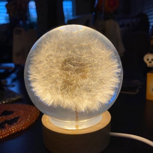 Erika added a photo of their purchase