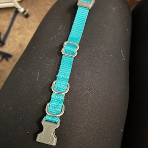Josie added a photo of their purchase