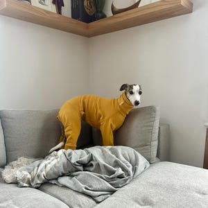 CIEVstudio added a photo of their purchase