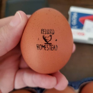 Linda added a photo of their purchase