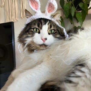 かぎ針編みパターン: 猫用イースターバニー耳帽子、耳穴付きウサギ耳