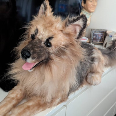 Custom Pet Handmade Stuffed Clone, Custom Pet Stuffed Animal, Custom