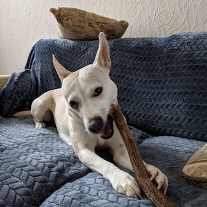 Paula ha añadido una foto de su compra