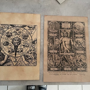 Python mercurius as Three Headed Dragon, Alchemy, Alchemy Occult Print ...