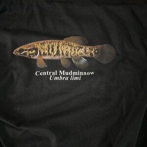 Cody ha aggiunto una foto del proprio acquisto