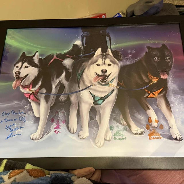 Poster Chien Husky Sibérien Dessiner Et Peindre Illustration Sur Fond Blanc 97552666