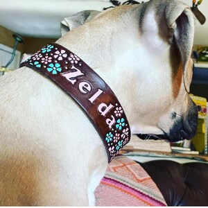 Marine Corps Dog Collar USMC Dog Collars Black Collar | Etsy