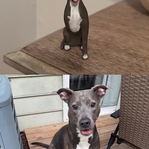 Sydney adicionaram uma foto da sua compra