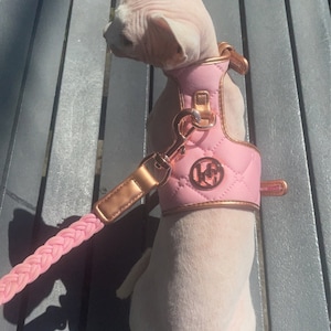 Shaïna added a photo of their purchase