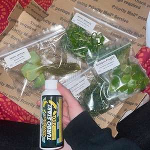 Etsy-Käufer:in hat ein Foto des gekauften Artikels hinzugefügt