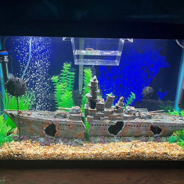 Aquarium Naval Floating Mine Etsy