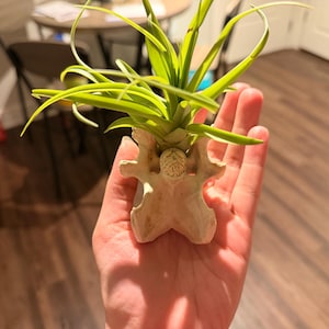 Haley added a photo of their purchase